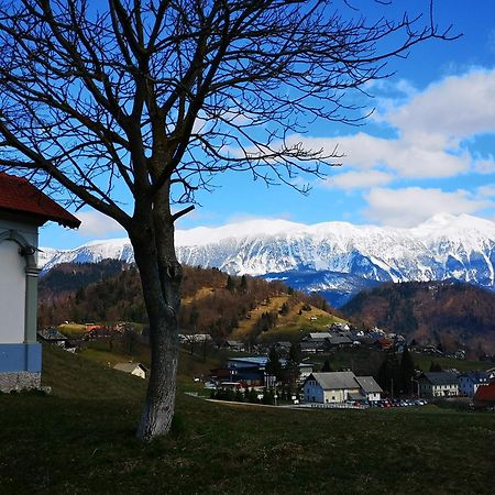Apartmaji Volf Zgornje Gorje Buitenkant foto