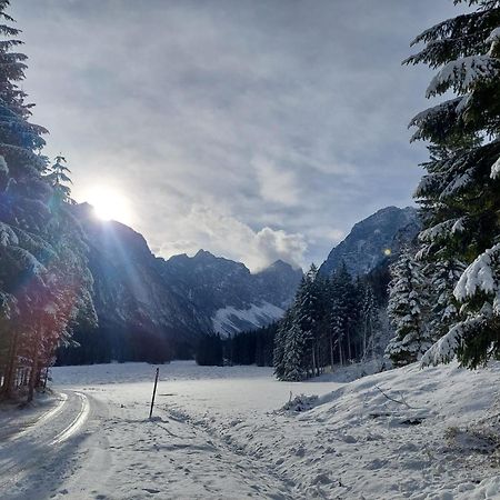 Apartmaji Volf Zgornje Gorje Buitenkant foto