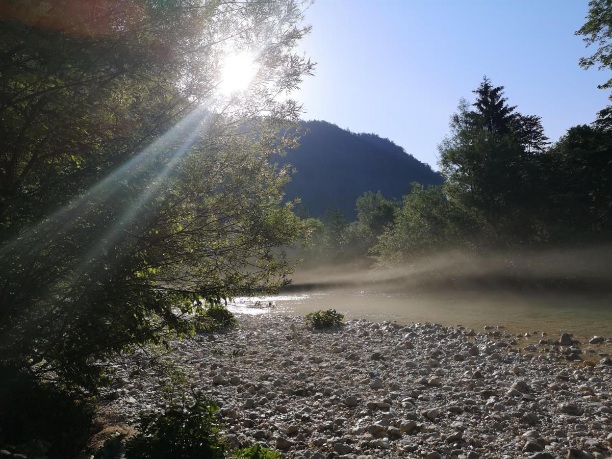 Apartmaji Volf Zgornje Gorje Buitenkant foto