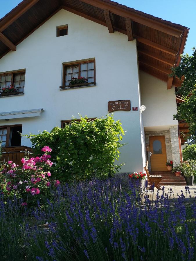 Apartmaji Volf Zgornje Gorje Buitenkant foto