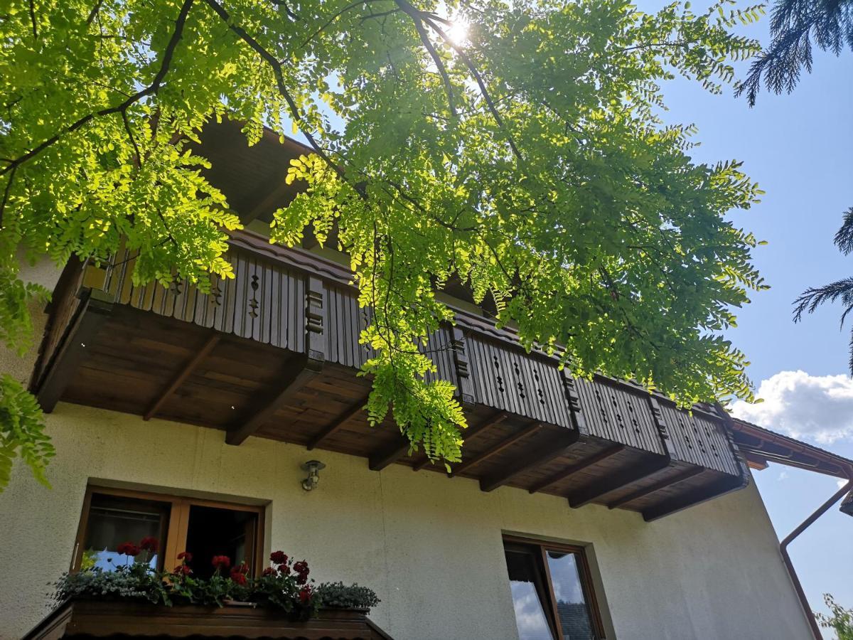 Apartmaji Volf Zgornje Gorje Buitenkant foto
