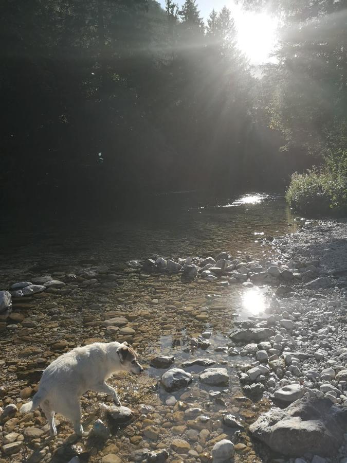 Apartmaji Volf Zgornje Gorje Buitenkant foto