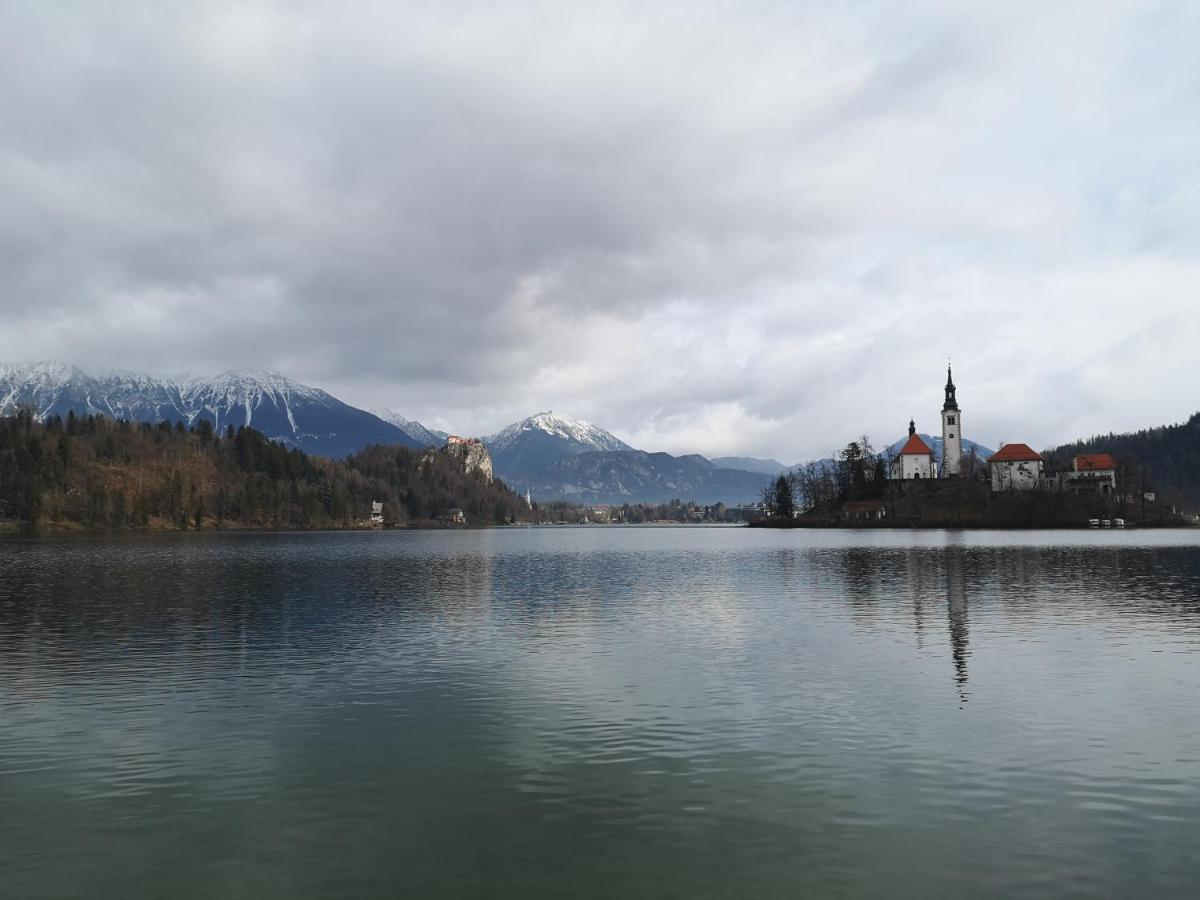 Apartmaji Volf Zgornje Gorje Buitenkant foto