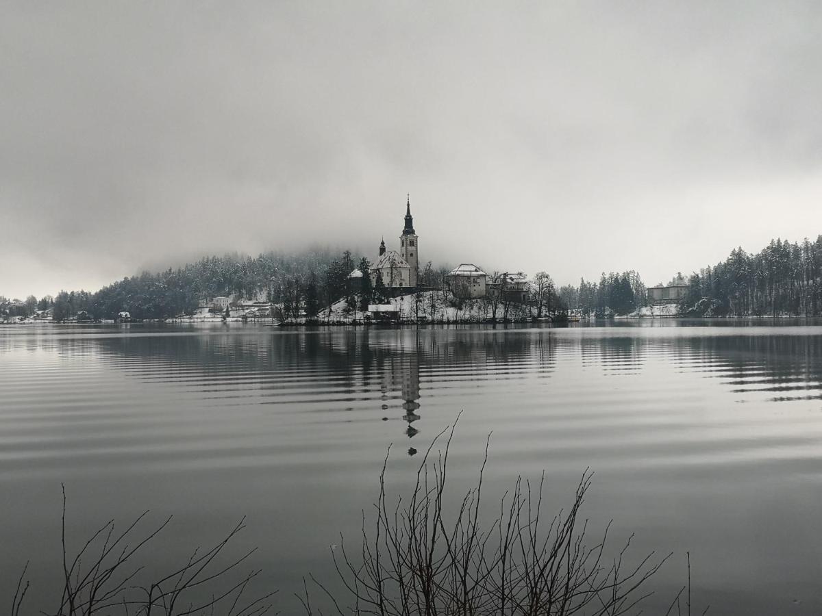 Apartmaji Volf Zgornje Gorje Buitenkant foto