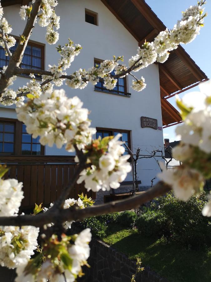 Apartmaji Volf Zgornje Gorje Buitenkant foto