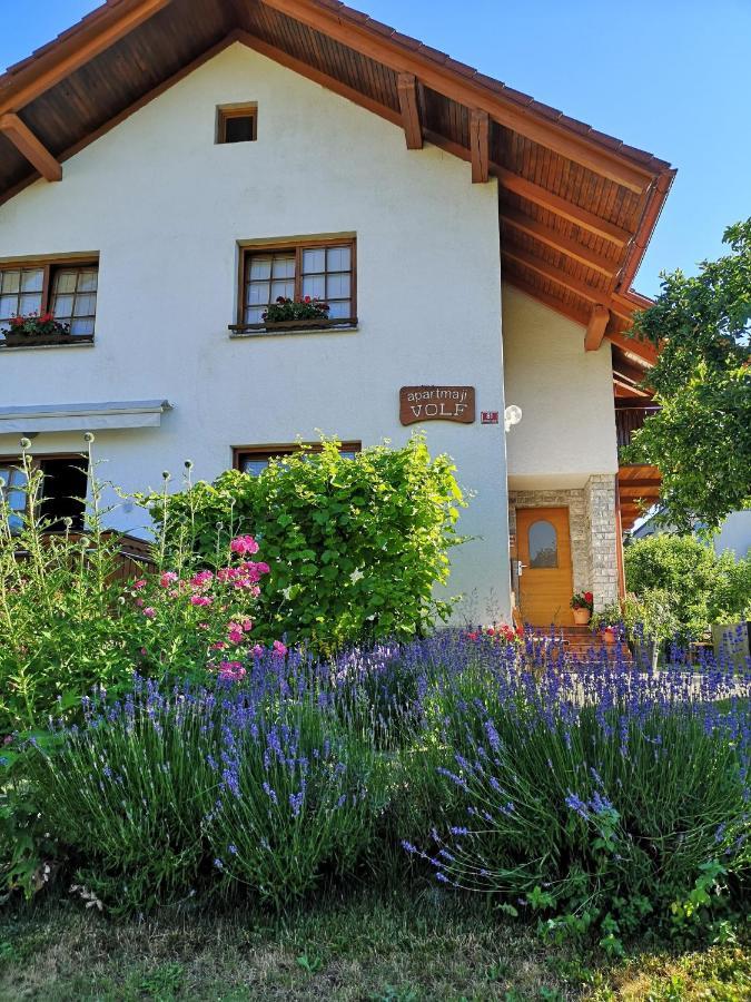 Apartmaji Volf Zgornje Gorje Buitenkant foto