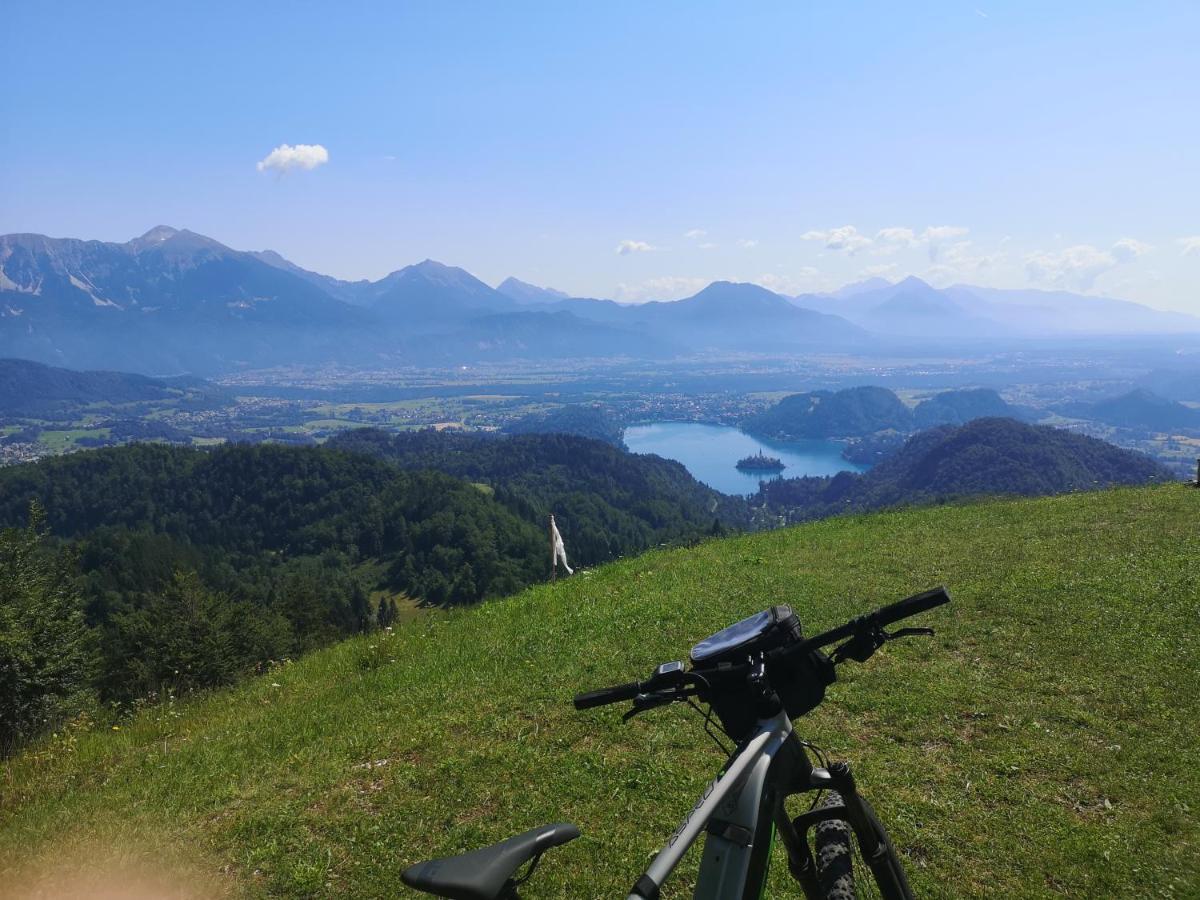 Apartmaji Volf Zgornje Gorje Buitenkant foto