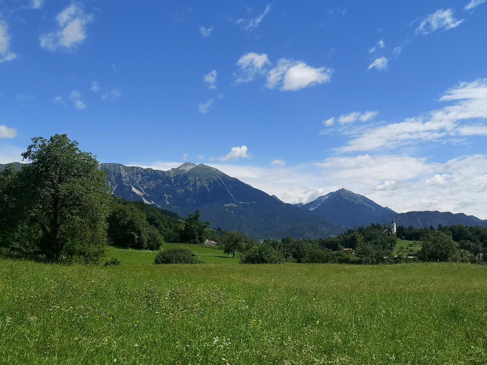Apartmaji Volf Zgornje Gorje Buitenkant foto