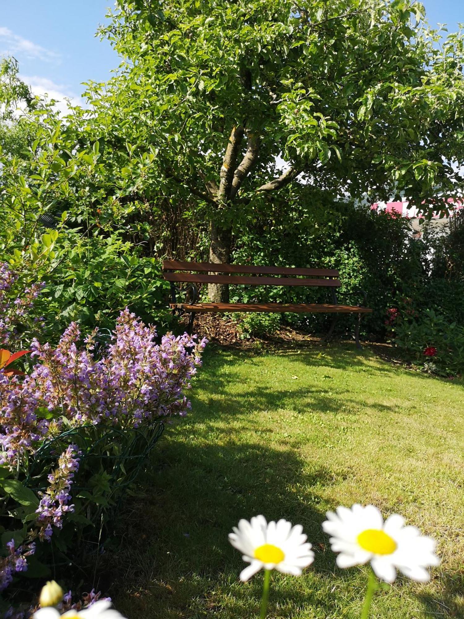 Apartmaji Volf Zgornje Gorje Kamer foto
