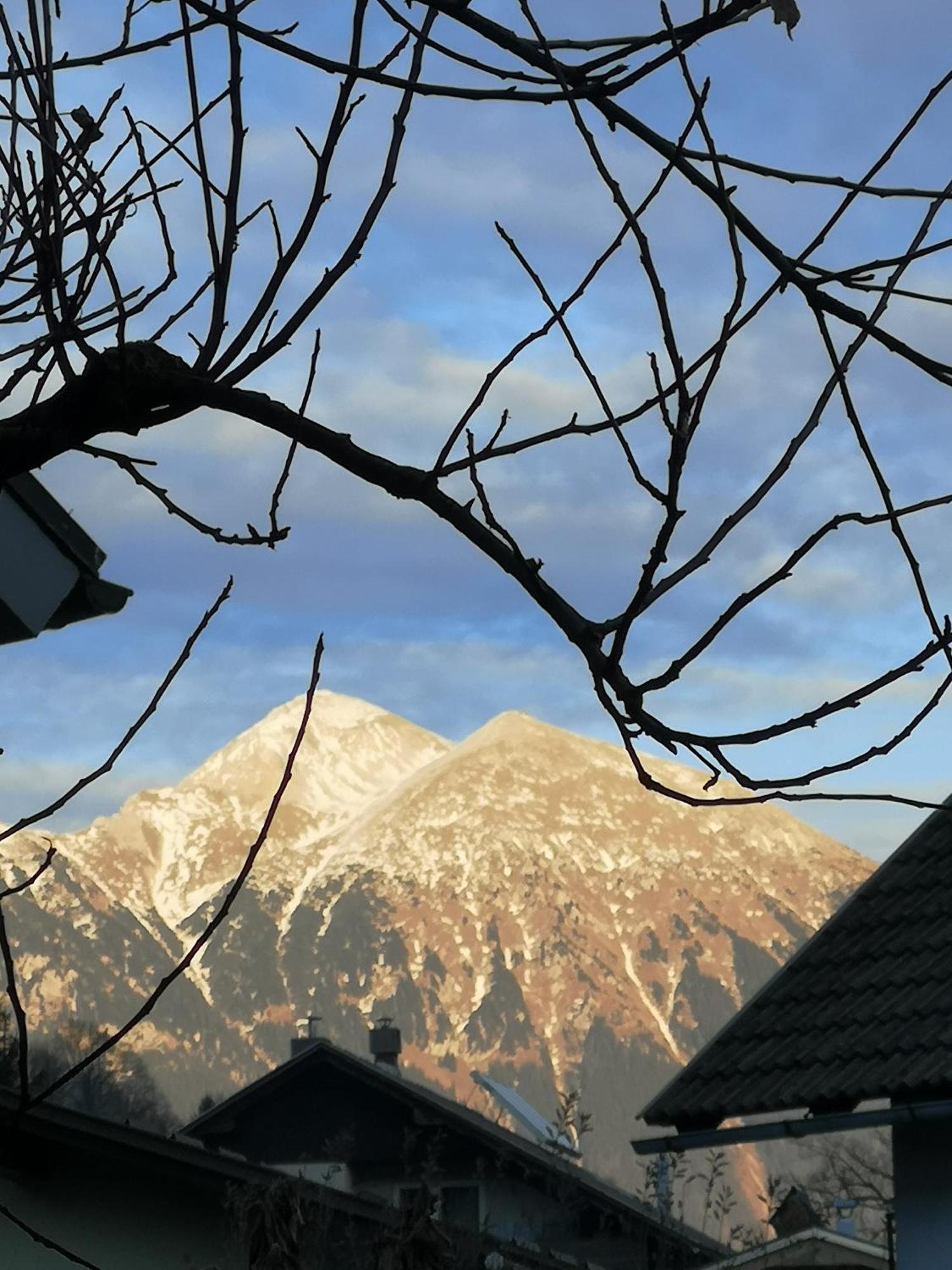 Apartmaji Volf Zgornje Gorje Buitenkant foto