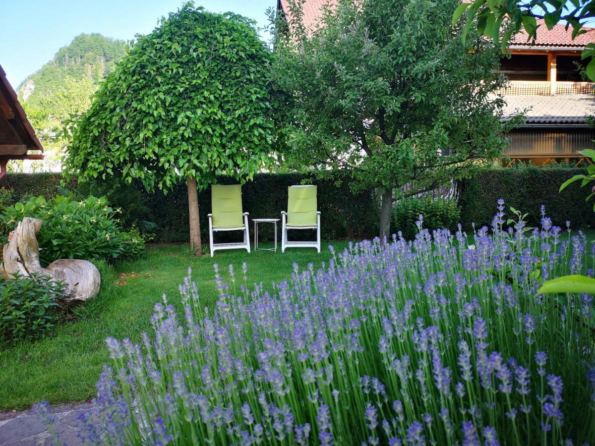 Apartmaji Volf Zgornje Gorje Buitenkant foto