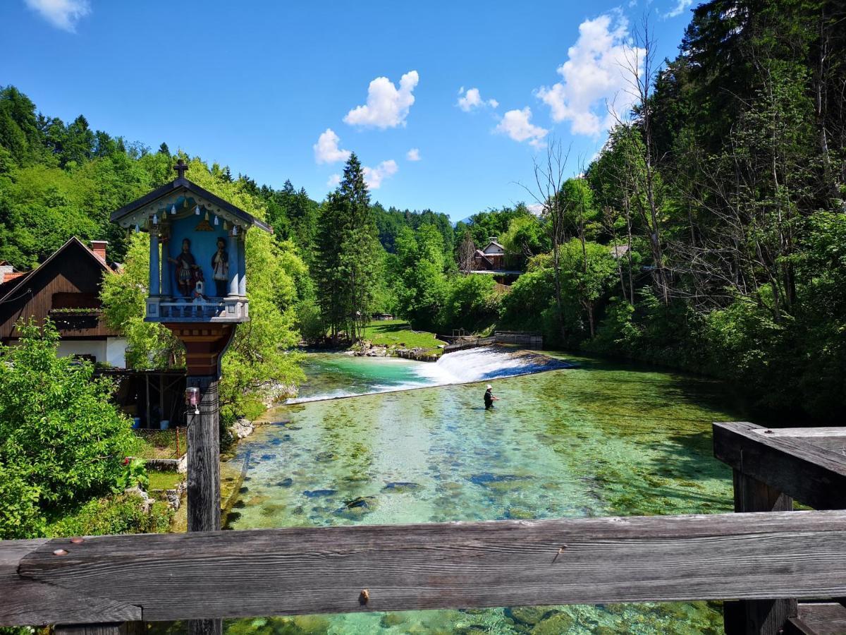 Apartmaji Volf Zgornje Gorje Buitenkant foto