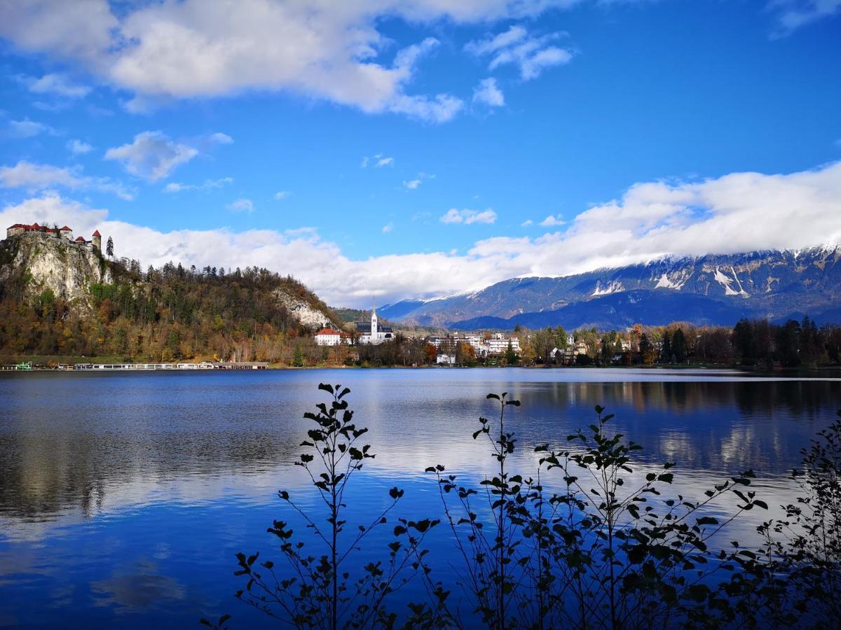 Apartmaji Volf Zgornje Gorje Buitenkant foto